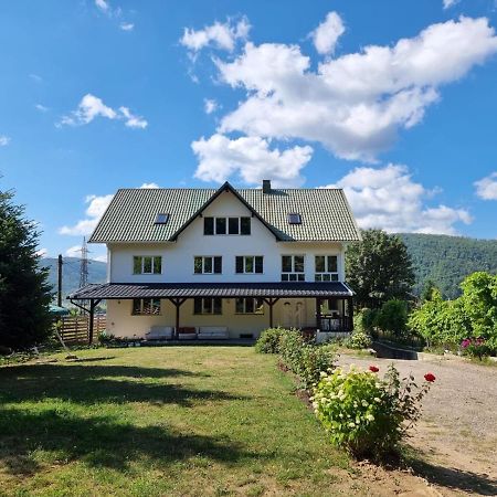 Vila Aslam Otel Gura Humorului Dış mekan fotoğraf
