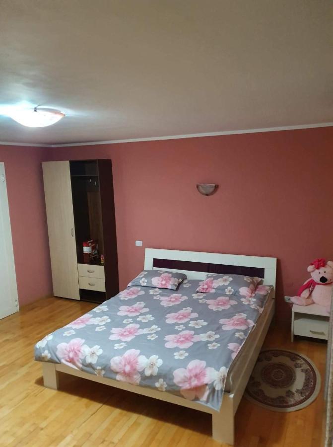 Vila Aslam Otel Gura Humorului Dış mekan fotoğraf
