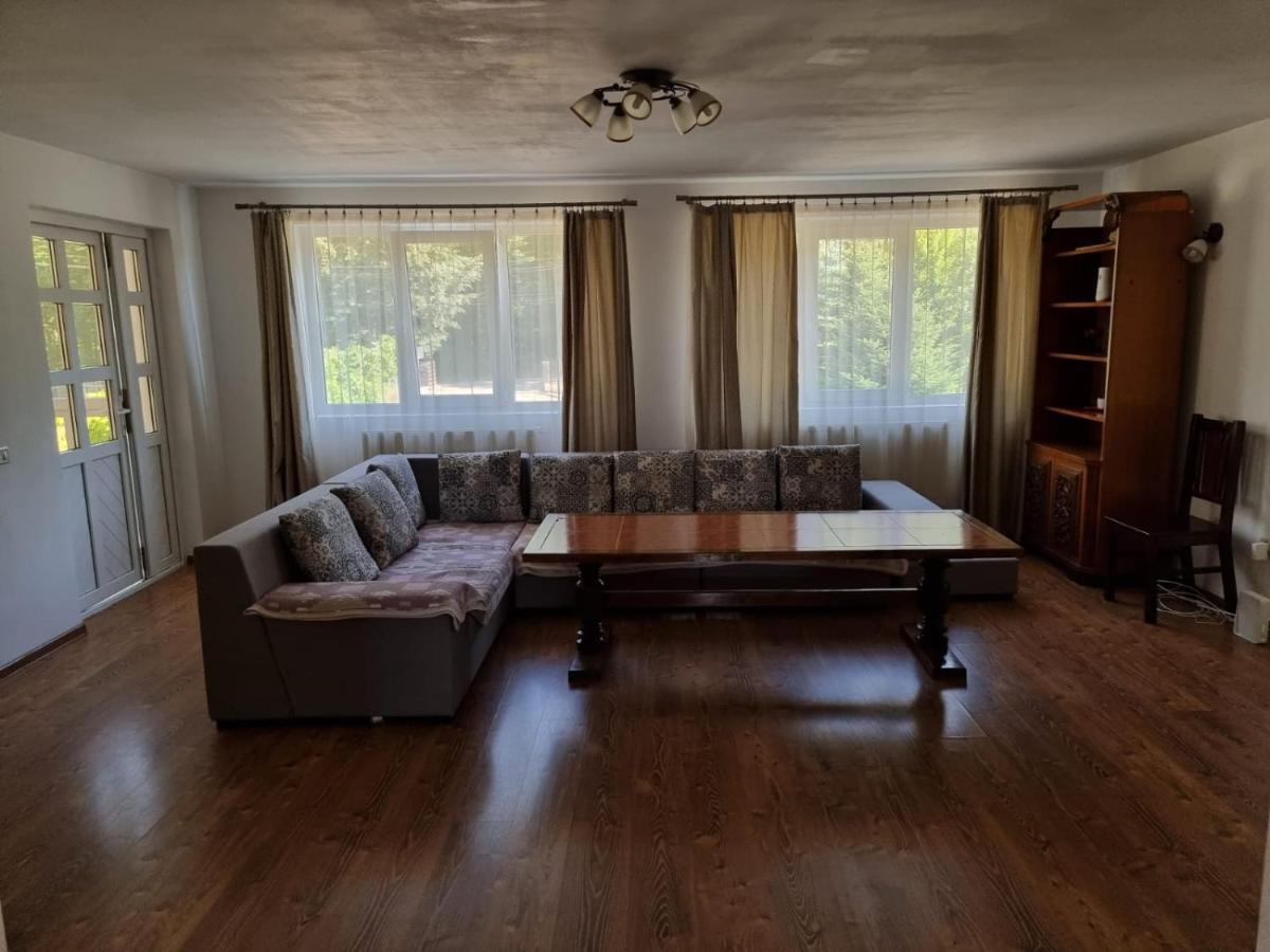 Vila Aslam Otel Gura Humorului Dış mekan fotoğraf